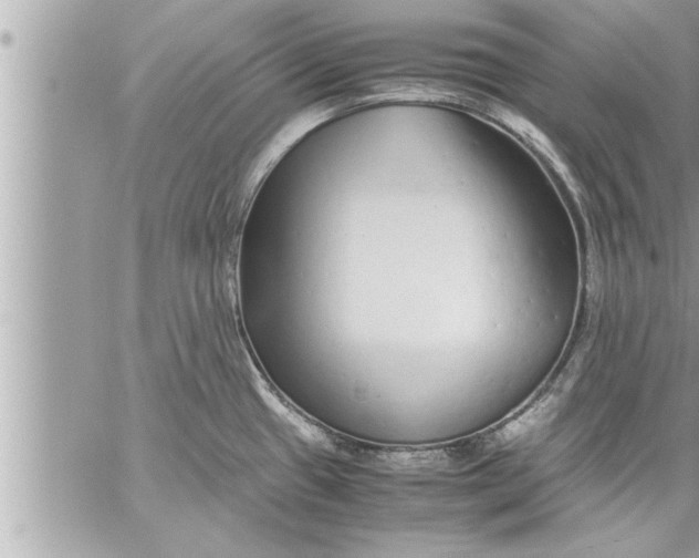 X0000059851433200511111759