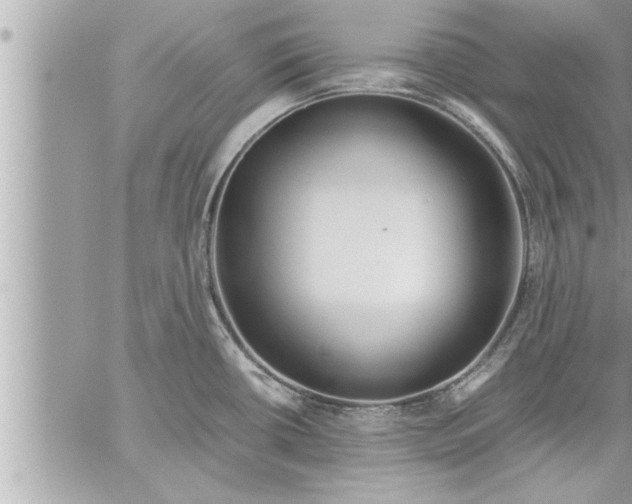 X0000059851434200511111759