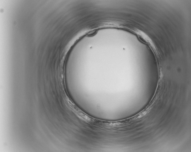 X0000059851435200511111759