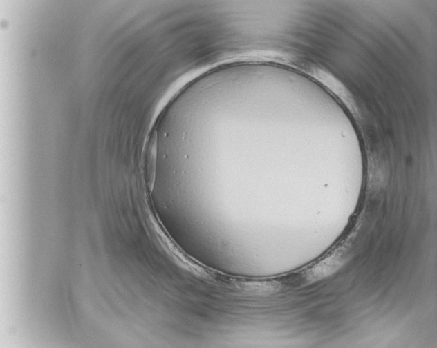 X0000059851436200511111759