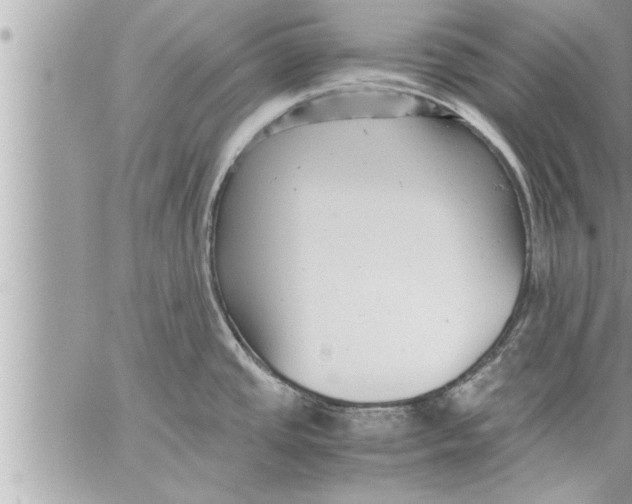 X0000059851437200511111759