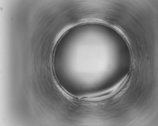 X0000059851438200511111759