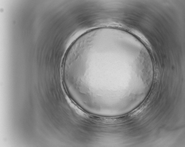 X0000059851439200511111759