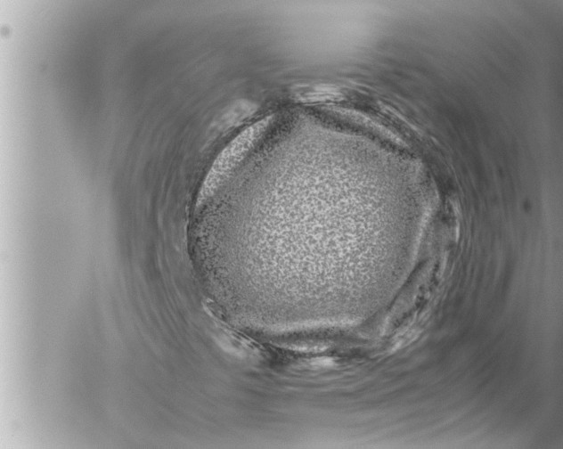 X0000059851441200511111759