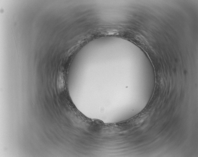 X0000059851442200511111759