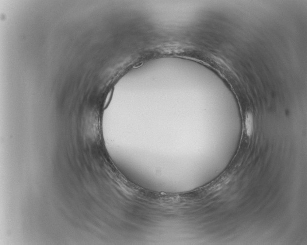 X0000059851444200511111759