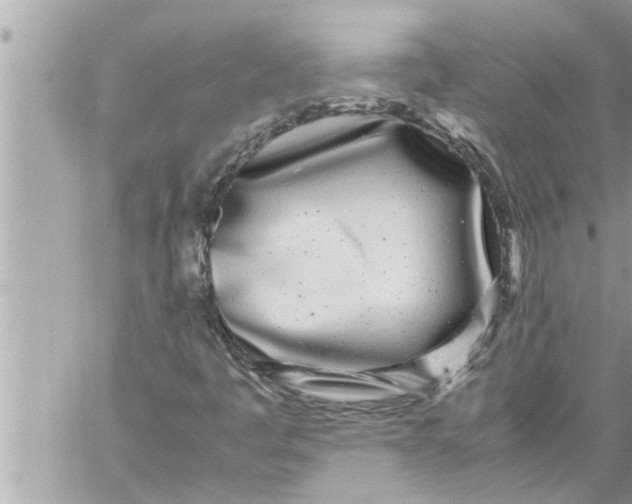 X0000059851445200511111759