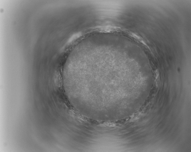 X0000059851446200511111759