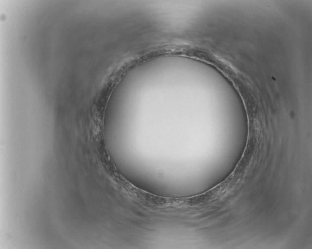 X0000059851447200511111759