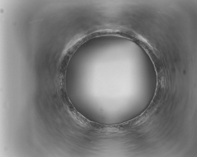 X0000059851448200511111759