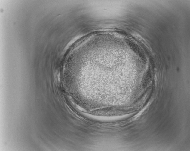 X0000059851449200511111759