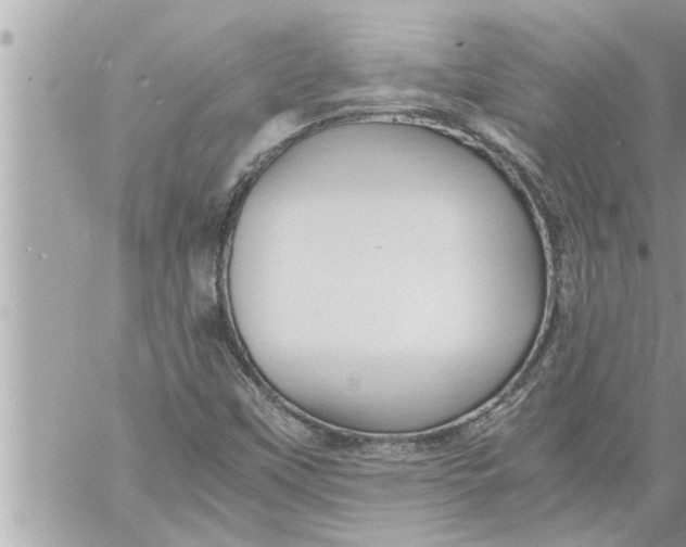 X0000059851451200511111758