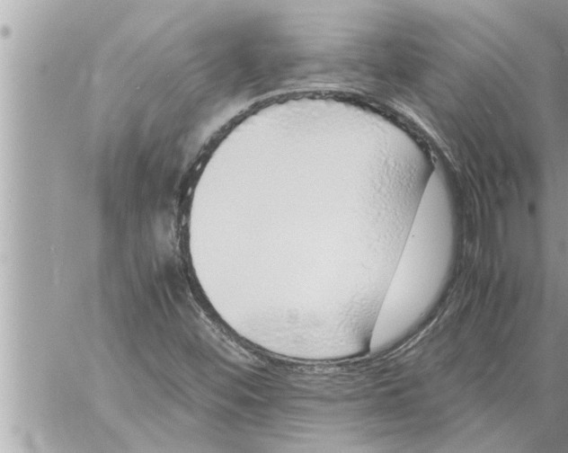 X0000059851452200511111758