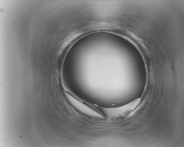 X0000059851453200511111758