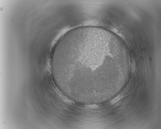 X0000059851454200511111758