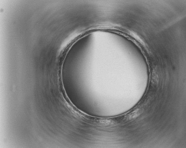 X0000059851456200511111758