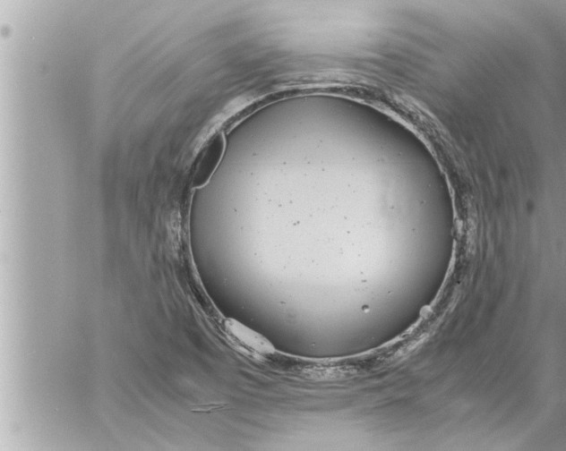 X0000059851457200511111758