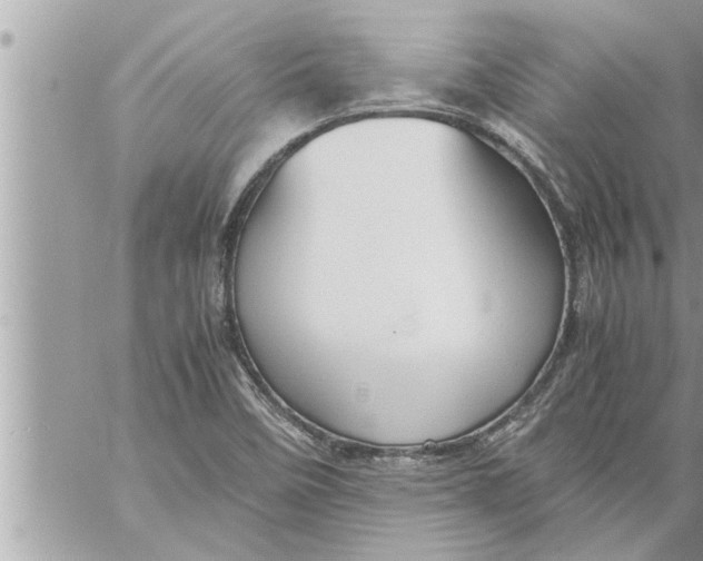 X0000059851458200511111758