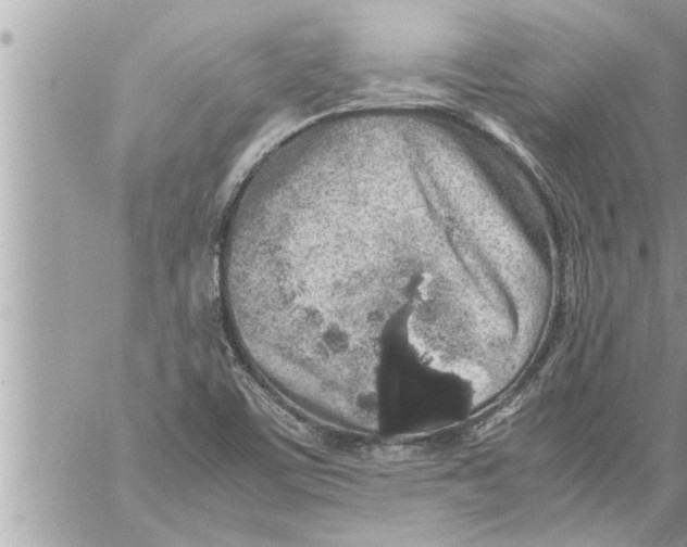 X0000059851459200511111758