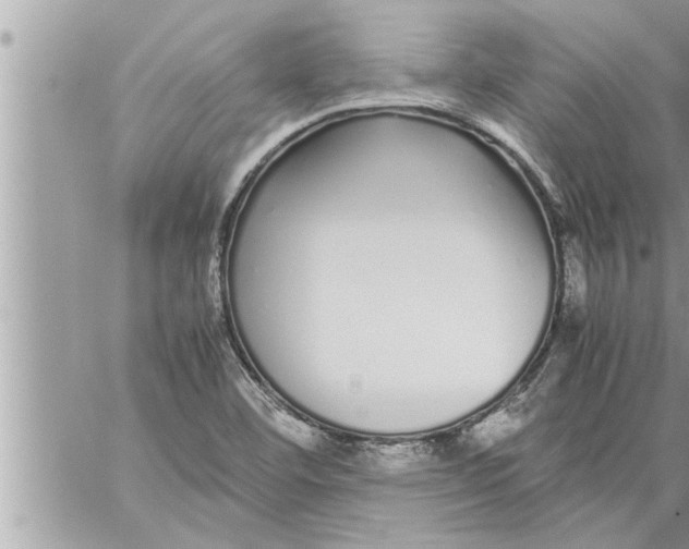 X0000059851460200511111758