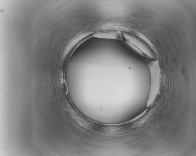 X0000059851461200511111758