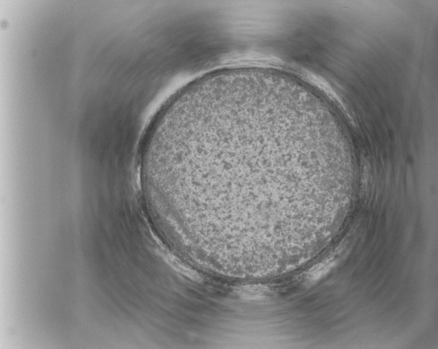 X0000059851462200511111758