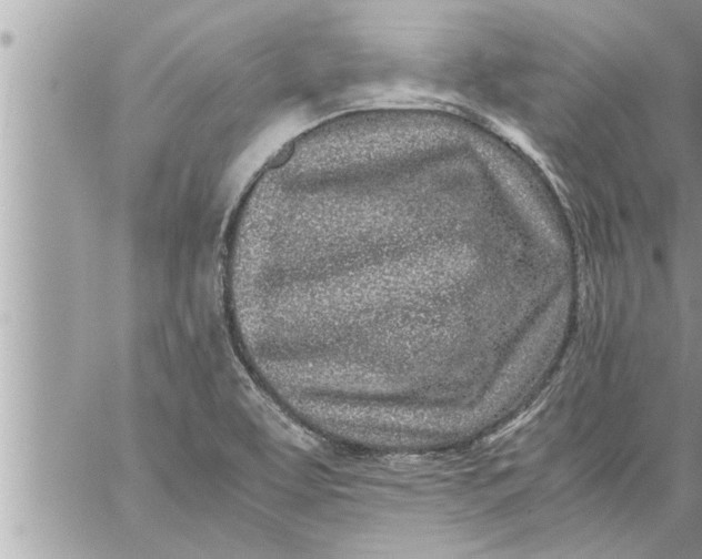 X0000059851463200511111758