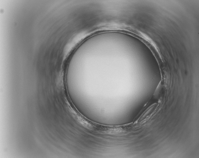 X0000059851464200511111758