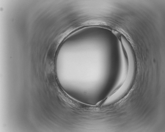 X0000059851465200511111758