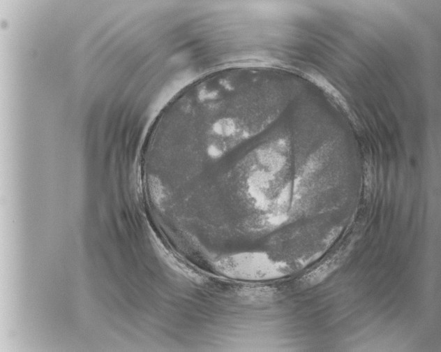 X0000059851466200511111758