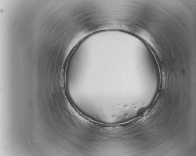 X0000059851468200511111758