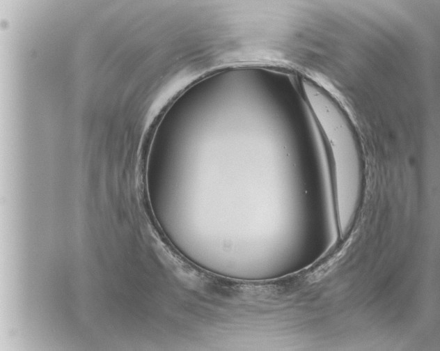 X0000059851469200511111758