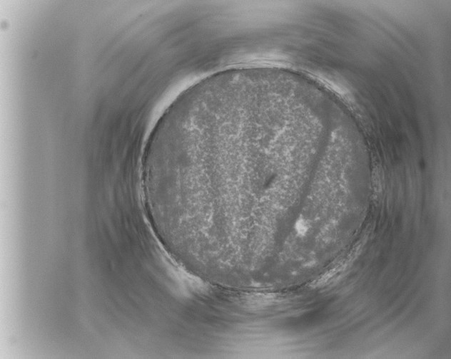 X0000059851470200511111758