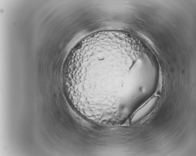 X0000059851471200511111758