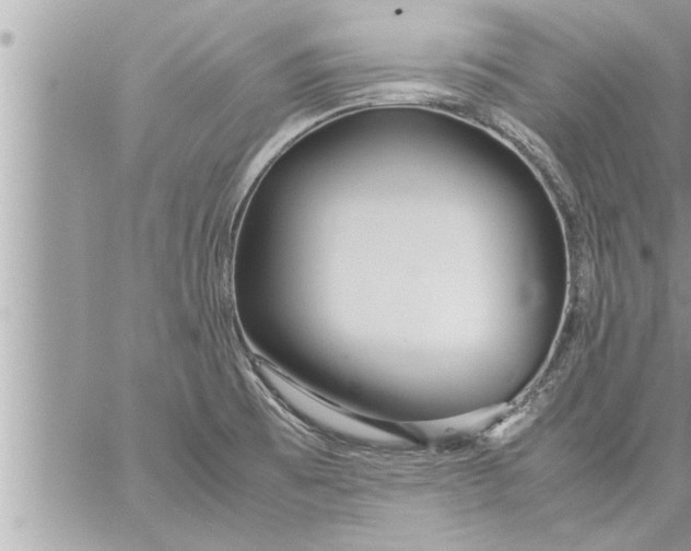 X0000059851473200511111758