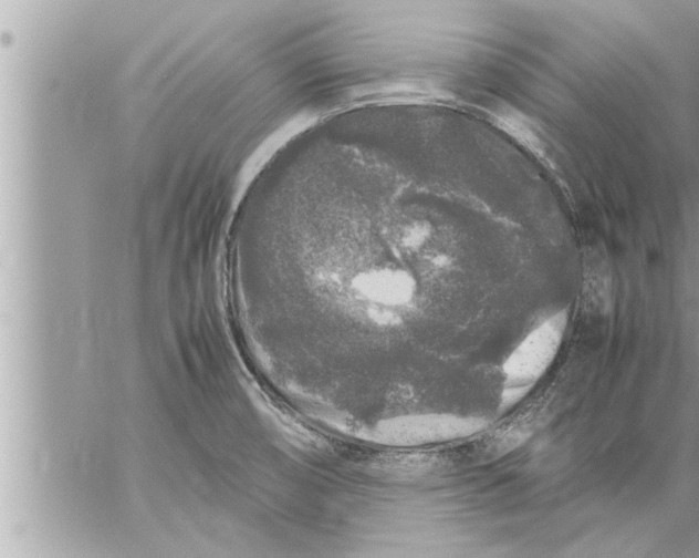 X0000059851474200511111758