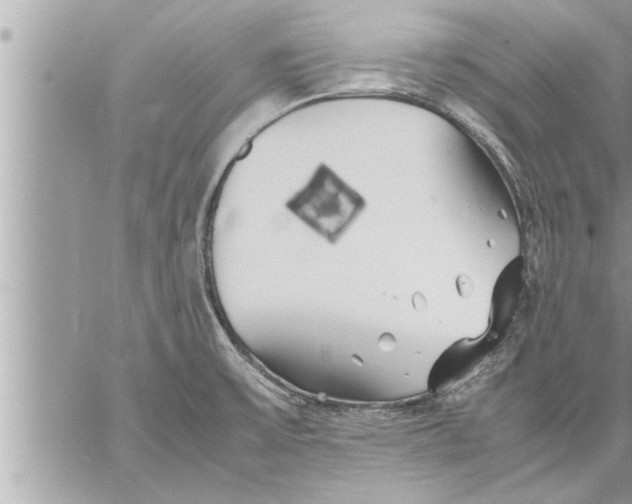 X0000059851475200511111758