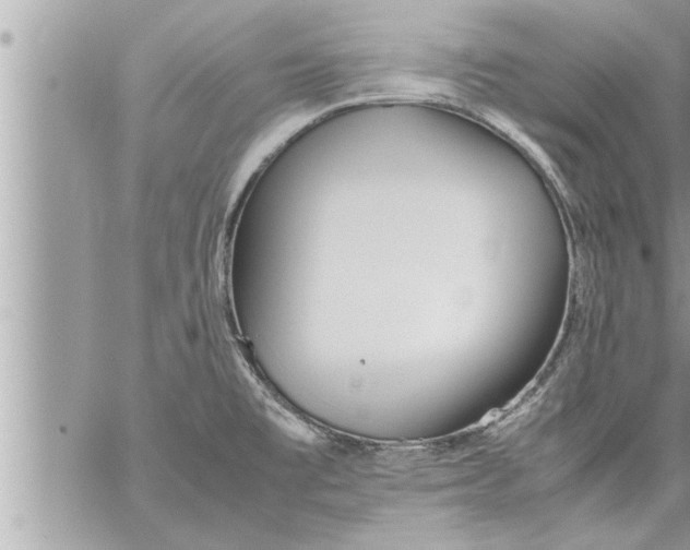 X0000059851477200511111758