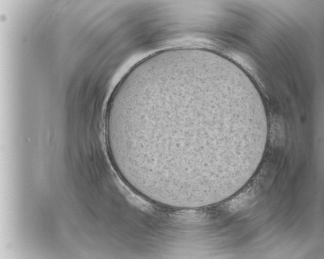 X0000059851478200511111758