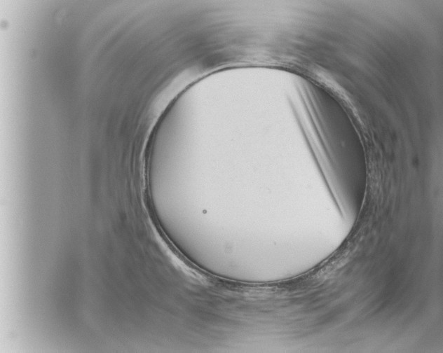 X0000059851479200511111758