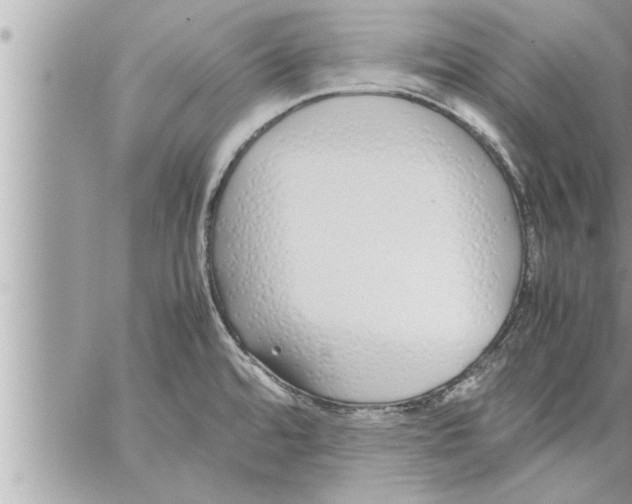 X0000059851480200511111758