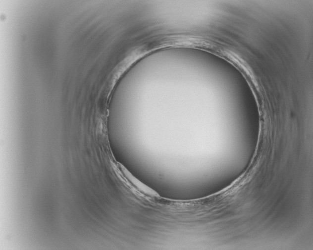 X0000059851481200511111758