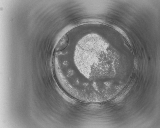 X0000059851482200511111758