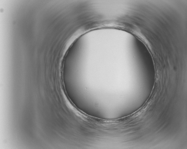 X0000059851483200511111758