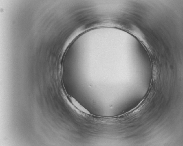 X0000059851484200511111758