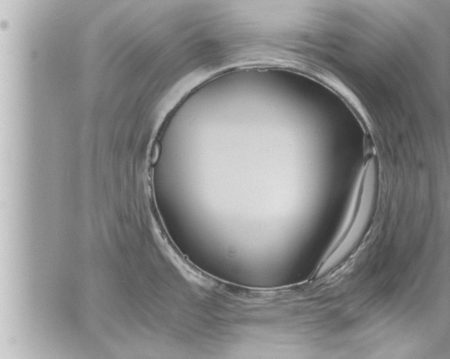 X0000059851485200511111758