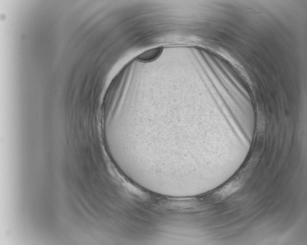 X0000059851486200511111758