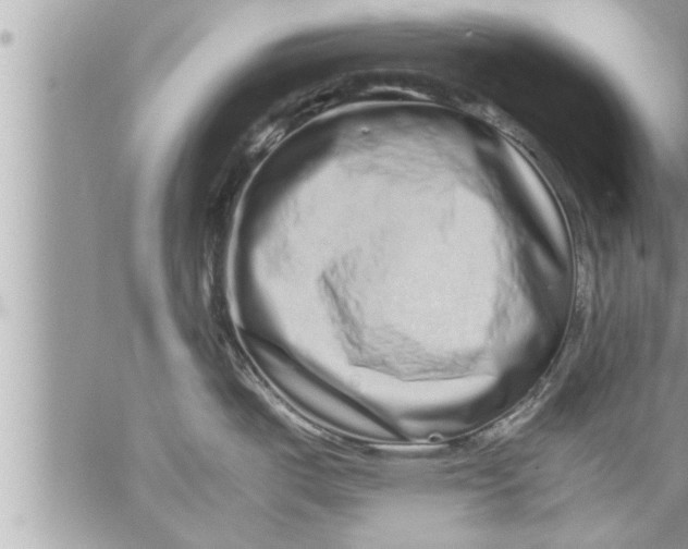 X0000059851487200511111758