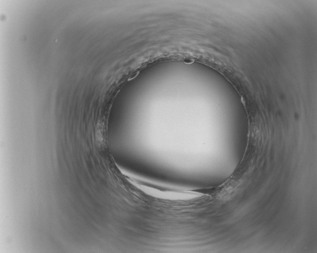 X0000059851490200511111757