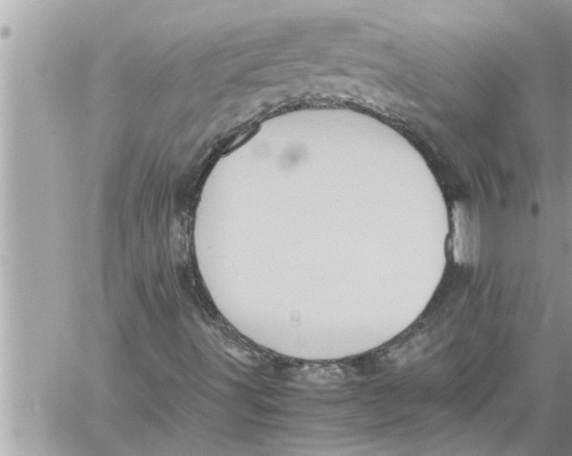 X0000059851491200511111757